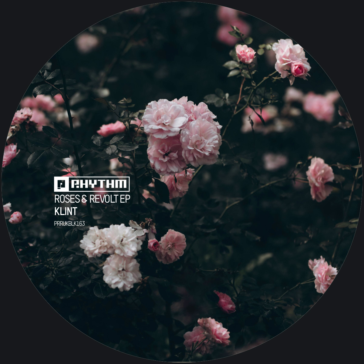 Klint – Roses & Revolt EP vinyl cover