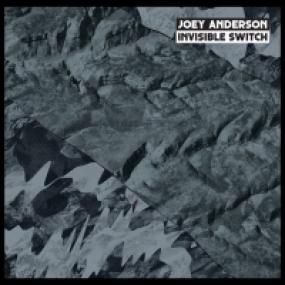 JOEY ANDERSON - INVISIBLE SWITCH