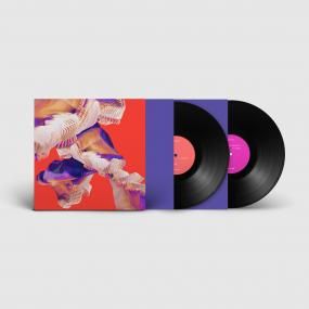 BICEP - ISLES - BLACK VINYL (12" Vinyl) - SoundGround музикален магазин