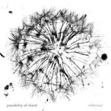 possibility of island - reflected 1