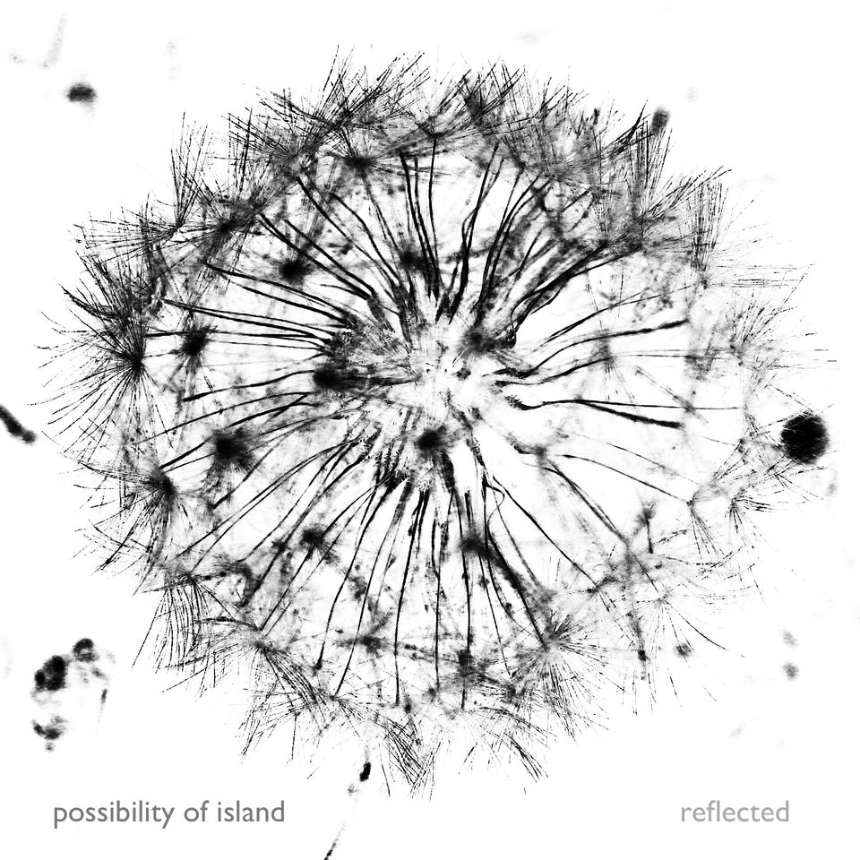possibility of island - reflected