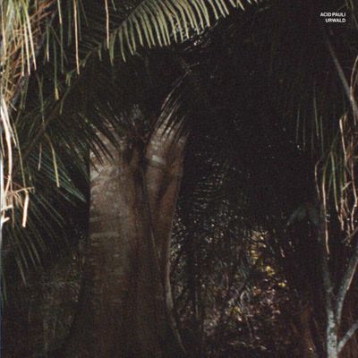 Acid Pauli - Urwald (12" Excl) - SoundGround музикален магазин
