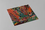 Akusmi - Terra Incognita - LP- Additional Pressing 4