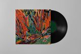 Akusmi - Terra Incognita - LP- Additional Pressing 11