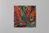 Akusmi - Terra Incognita - LP, Black BioVinyl 3
