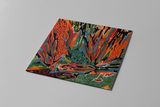 Akusmi - Terra Incognita - LP, Black BioVinyl 12