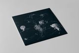 Anenon - Dream Temperature (LP) (Limited Edition Transparent Clear Vinyl) 6