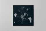 Anenon - Dream Temperature (LP) (Limited Edition Transparent Clear Vinyl) 3