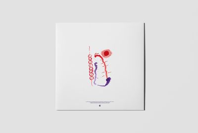 Anenon - Moons Melt Milk Light -LP, 2026 REPRESS Black BioVinyl, Printed Insert (LP Excl) - SoundGround музикален магазин