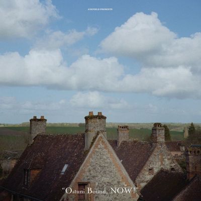 Axefield - Ostuni Bound, NOW! (LP) (LP Excl) - SoundGround музикален магазин