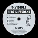 B.Visible - Hits Different 1