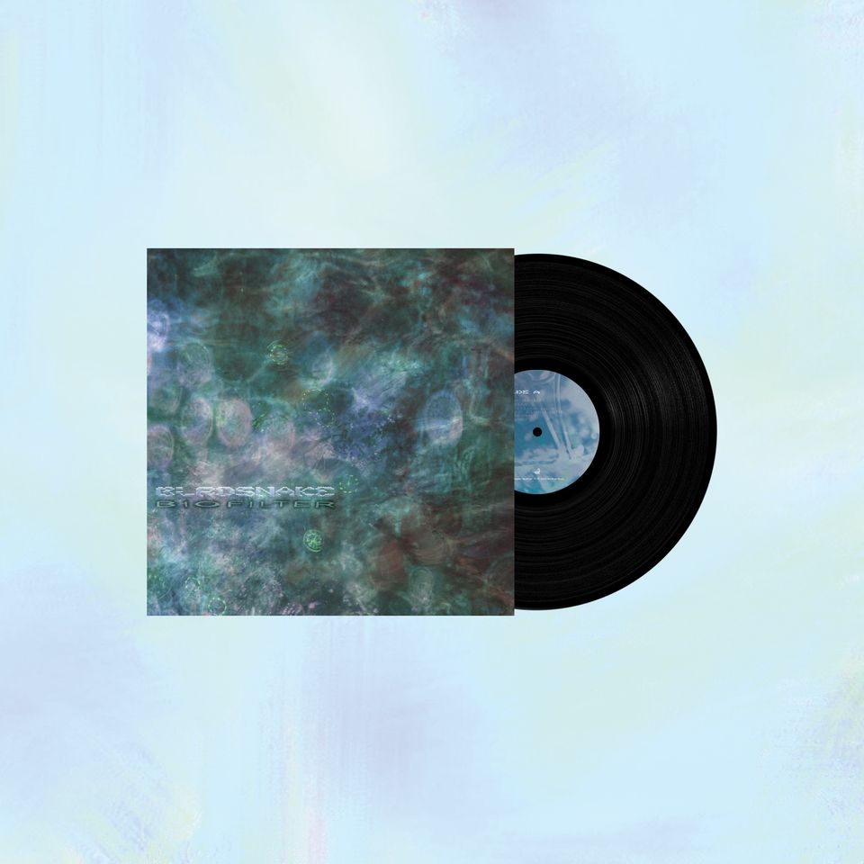 BIRDSNAKE - BIOFILTER (LP)