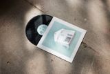 Danny Scott Lane - House Of Alice (LP) 3