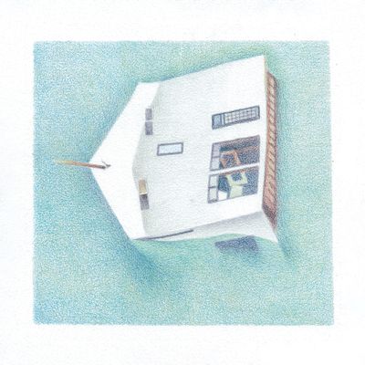 Danny Scott Lane - House Of Alice (LP) (12" Vinyl) - SoundGround музикален магазин