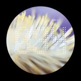 Dimi Angelis - NECH034 1