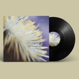 Dimi Angelis - NECH034 4