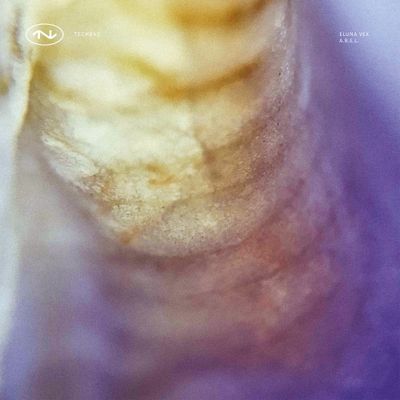 Eluna Vex / A.B.E.L. - TECH043 (12" Excl) - SoundGround музикален магазин