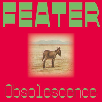 Feater - Obsolescence (LP) (2027 re-release) (LP Excl) - SoundGround музикален магазин