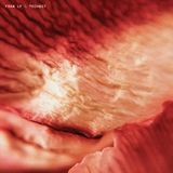 Fran LF - TECH037 1