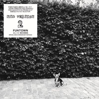 Funtown - NAD Version Two (2x12") - SoundGround музикален магазин
