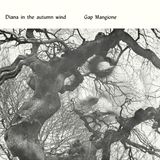 Gap Mangione - Diana In The Autumn Wind (LP) 2
