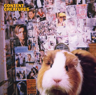 Helmut - Content Creatures (Lp - Black Vinyl Edition) (LP Excl) - SoundGround музикален магазин