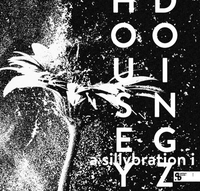Housey Doingz - A Sillybration I (2026 Repress) (2LP Excl) - SoundGround музикален магазин