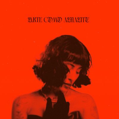 INDIRA PAGANOTTO - ARTE COMO AMANTE (LP) (LP Excl) - SoundGround музикален магазин