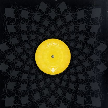 joel mull - harmonautic string