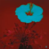 John Beltran - Sunrise And The Way We Live (2LP) 1