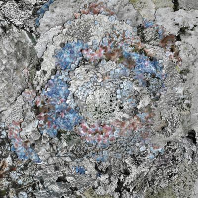 Kinzua - The Current Thing (12" Vinyl) - SoundGround музикален магазин