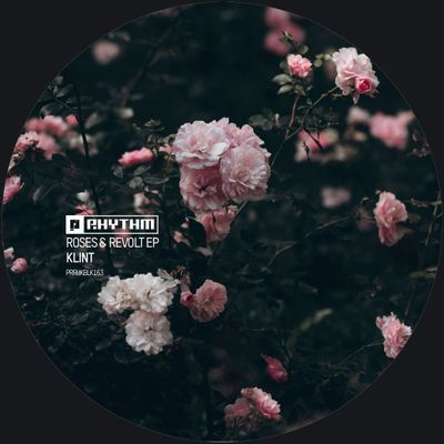 Klint - Roses & Revolt EP (12") - SoundGround музикален магазин