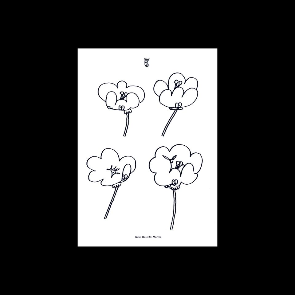 Lawrence - Poppies