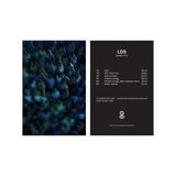 LDS - power of 2 (12", generic sleeve, postcard download card) 4