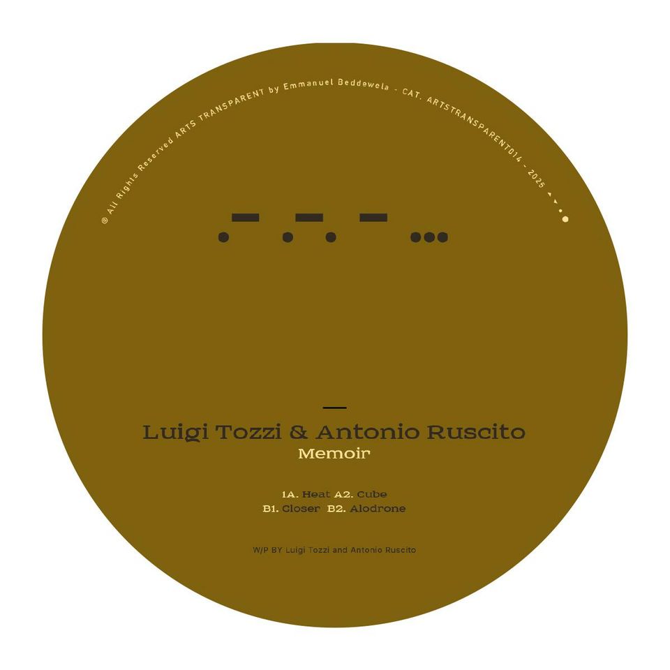 Luigi Tozzi & Antonio Ruscito - Memoir (silver colored vinyl)(2026 repress)