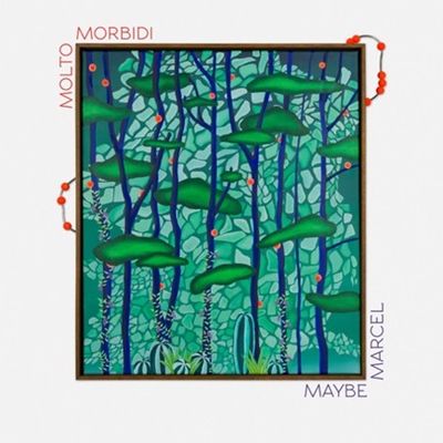molto morbidi - Maybe Marcel (LP) (LP Excl) - SoundGround музикален магазин