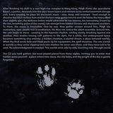 Perzeptiverdampfkesselqualmtbesinnlich - Pussy Disco (CD) 4