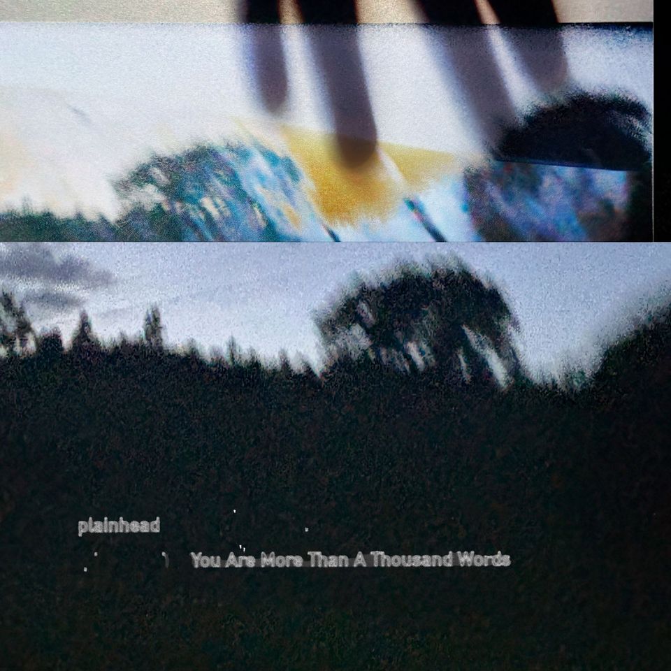 plainhead - You Are More Than A Thousand Words (LP)