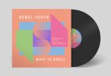 Rebel Youth - What is soul?(30th anniversary remixes) 2