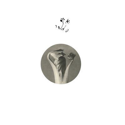 Returning Sweetness (Eversines) - Longevity Eyebrow (12" Excl) - SoundGround музикален магазин