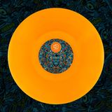 SASCHA DIVE - I WAS DEEP IN MY LAST LIFE (ORANGE COLORED/LTD/VINYL ONLY/180G) 4