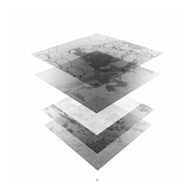 Schweres Wasser - Bleeding Immaculate EP (incl .VRIL Rework) (Repress) (12" Excl) - SoundGround музикален магазин
