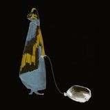 Shingo Suwa - Seishin 1