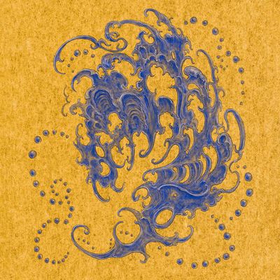 Surgeon - Shell~Wave (2026 repress) (2LP, dl card included) (full printed special color sleeve) (2LP Excl) - SoundGround музикален магазин