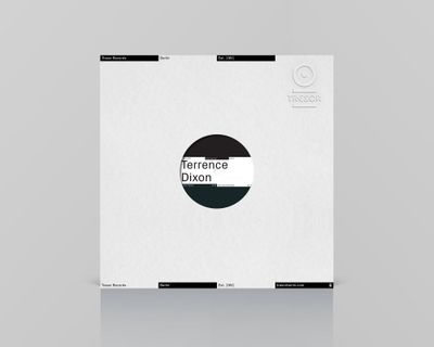 Terrence Dixon - When Stars Remember (12" vinyl, generic sleeve, dl card) - SoundGround музикален магазин