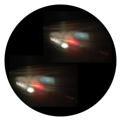 Tigerskin - Image (12" Excl) - SoundGround музикален магазин