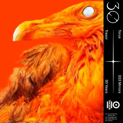 Torus - 333 Mirrors (12" Vinyl) - SoundGround музикален магазин
