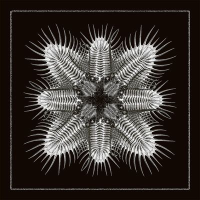 V/A - 10 (printed sleeve) (12" Vinyl) - SoundGround музикален магазин