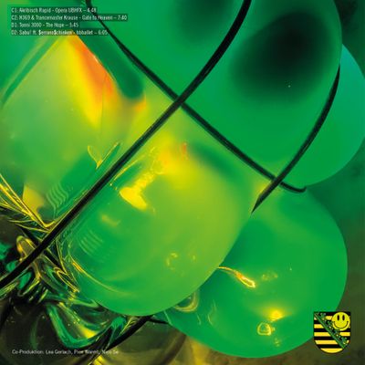 V/A - Sachsentrance x DURCH (2LP) (2x12" Vinyl) - SoundGround музикален магазин