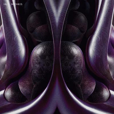 VA (Insolate,JNKS, Namhar,Fabrizio De Santis, Kichi Kazuko,Jay York) - NECH025 EP - 180g Silver Coloured Vinyl - (12" Vinyl) - SoundGround музикален магазин
